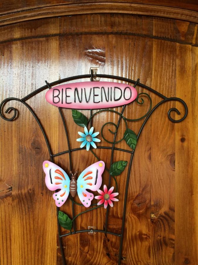 Casa Roble Anejo Bed & Breakfast サンタ・クルス エクステリア 写真