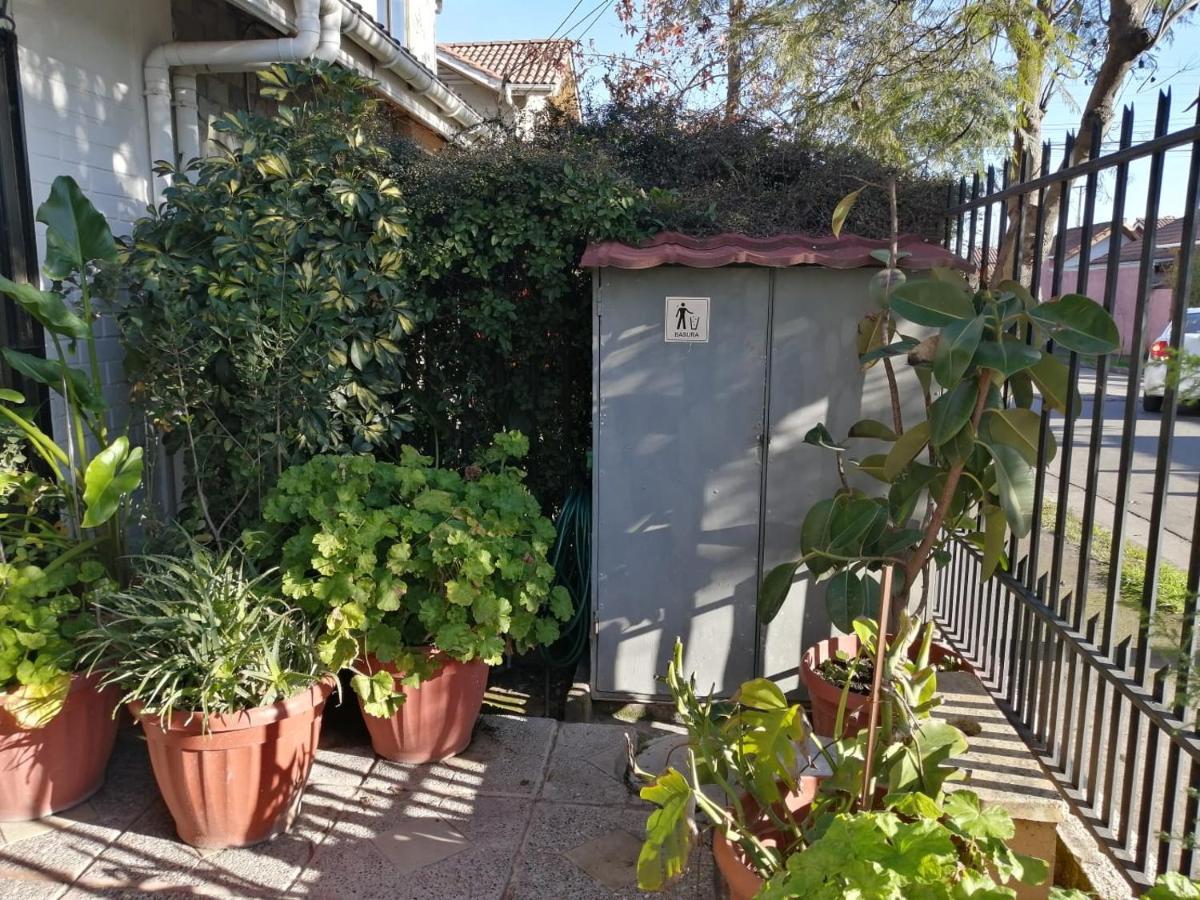 Casa Roble Anejo Bed & Breakfast サンタ・クルス エクステリア 写真