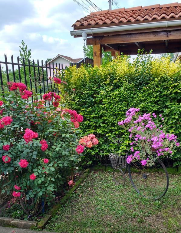 Casa Roble Anejo Bed & Breakfast サンタ・クルス エクステリア 写真